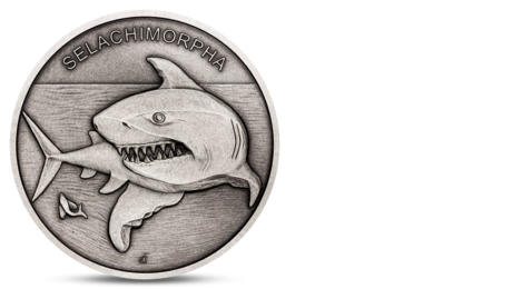 Niue 1 NZD Animal Champions Shark 2020